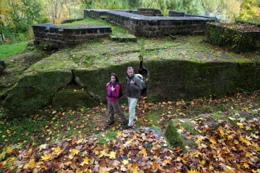 Burgruine Ehrwoog Felsen