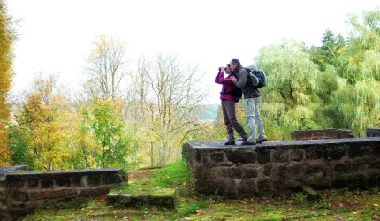 Burgruine Ehrwoog Ausblick