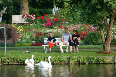 Rosengarten Zweibrücken (© Archiv Kultur- und Verkehrsamt Zweibrücken)