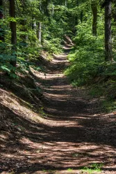5782_Billesweiher_Enkenbach-Alsenborn_2018