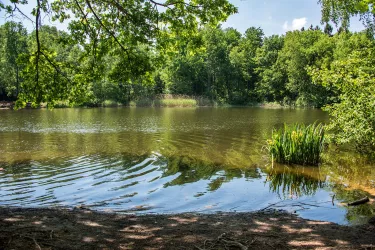 5785_Billesweiher_Enkenbach-Alsenborn_2018