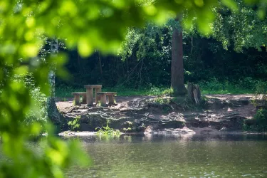 5799_Billesweiher_Enkenbach-Alsenborn_2018