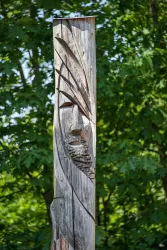 Ein geschnitzter Holzpfahl mit einem Gesichtsdesign. Im Hintergrund sind grüne Bäume zu sehen.