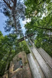 Ein hoher Holzkreuz steht zwischen Bäumen in einem Wald. Die Aussicht ist von grünen Blättern und blauem Himmel umgeben.