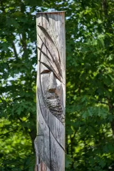 5928_Labyrinth am Lebenspfad_2018