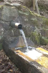 Billesweiher Quelle Brunnen CIMG3333