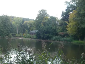 Schwarzweiher_01 (© Archiv VG Enkenbach-Alsenborn)