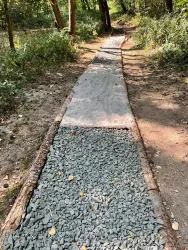 Ein schmaler Weg im Wald, der teilweise mit Kies und unter einer Plane befestigt ist. Bäume und grünes Gebüsch umgeben den Pfad.