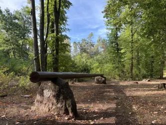 Ein dicker Baumstamm liegt auf einem großen Stein im Wald. Umgeben von grünen Bäumen und einem klaren Himmel vermittelt die Szene eine ruhige, natürliche Atmosphäre.