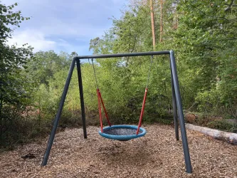 Eine schaukelnde Nestschaukel steht in einem Waldgebiet. Umgeben von Bäumen und natürlichem Boden ist es ein einladender Spielplatz für Kinder.