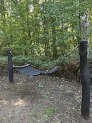 Eine gemütliche Hängematte hängt zwischen zwei Pfosten im Wald. Die Umgebung ist grün und einladend.