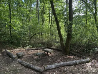 Ein kleiner, abgelegener Bereich im Wald mit Holzstämmen und Steintischen. Umgeben von dichten Bäumen und grünem Unterholz.