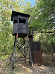 Ein Hochstand aus Holz steht im Wald, umgeben von Bäumen. Die Struktur hat Fenster und befindet sich auf einem stabilen Gerüst.