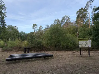 Ein ruhiger Waldweg mit Sitzgelegenheiten aus Holz. An einer Wandtafel sind Informationen über die Umgebung zu sehen.