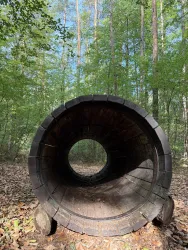 Ein hölzerner Tunnel in einem Wald mit vielen grünen Bäumen. Der Boden ist mit Laub bedeckt und das Licht fällt sanft durch die Baumkronen.