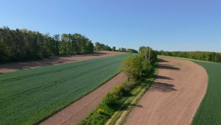 Eine grüne Landschaft mit Feldern und Bäumen. Der Himmel ist klar und blau.