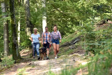 Eine Gruppe von drei Menschen geht mit einem Hund auf einem Waldweg. Die Umgebung ist grün mit vielen Bäumen und Sonnenlicht, das durch die Blätter scheint.
