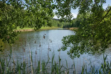 5812_Billesweiher_Enkenbach-Alsenborn_2018
