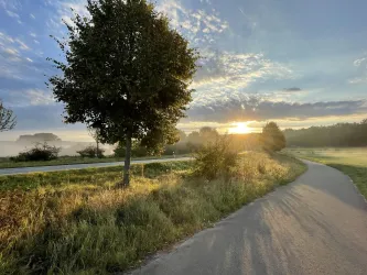 Eine malerische Landschaft mit einem sanften Weg, der durch grasbewachsene Felder führt. Die Sonne geht hinter einem Baum auf und taucht die Szene in warmes Licht.