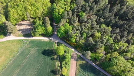 Eine Luftaufnahme von üppigem grünem Wald und Feldern. Man sieht einen klaren Weg, der durch die Landschaft führt.