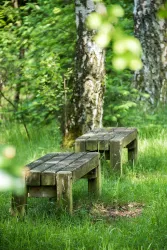 Zwei einfache Holzbänke stehen in einer grünen Wiese im Wald. Die Umgebung ist frisch und natürlich mit Bäumen im Hintergrund.