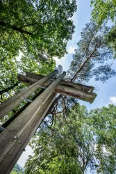 Ein großer Holzkreuz steht unter hohen Bäumen. Der Himmel ist blau mit einigen Wolken.