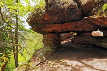 Eine Felsformation mit hohlen Bereichen, umgeben von Bäumen und grüner Natur. Deutlich sichtbare Schichten im Gestein und weiches Licht schaffen eine ruhige Atmosphäre.