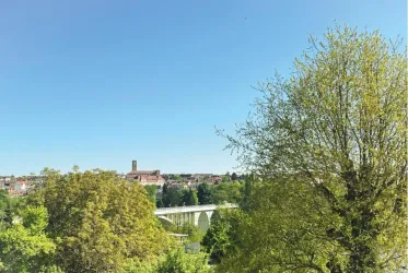 Eine sonnige Landschaft mit Bäumen und einem klaren, blauen Himmel. Im Hintergrund ist eine Brücke und einige Gebäude zu sehen.