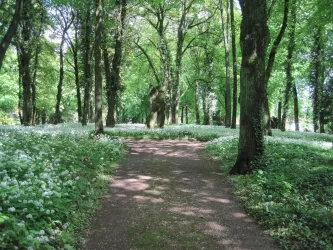Skulpturenpark_Alter Friedhof_ Dunja Maurer 3