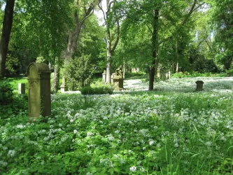 Skulpturenpark_Alter Friedhof_ Dunja Maurer