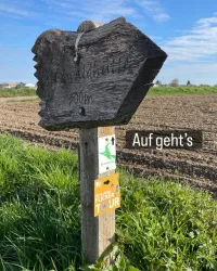 Ein Holzwegweiser zeigt den Weg zum Waldhäutle in 200 Metern Entfernung. Im Hintergrund sieht man ein Feld und den blauen Himmel.