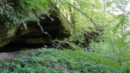 Feierabendfelsen (© Stadtmarketing Pirmasens/Anke Vogel)