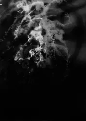 Schwarz-Weiß Fotografie, mit weißem Rauch oder ähnlichem