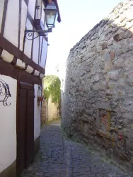 Freinsheim - Stadtmauer Bild 4 (© Urlaubsregion Freinsheim)
