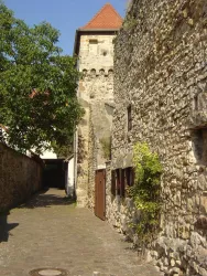 Freinsheim - Stadtmauer Bild 6 (© Urlaubsregion Freinsheim)