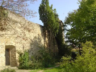 Freinsheim - Stadtmauer Bild 3 (© Urlaubsregion Freinsheim)