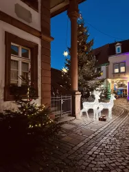 Weihnachtsmarkt 3 (© Frau Divok)