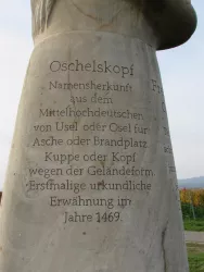 Oschelskopf (© Urlaubsregion Freinsheim)