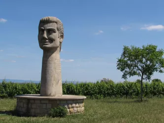 Oschelskopf mit Ruhebank (© Urlaubsregion Freinsheim)