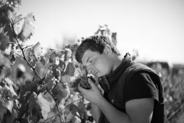 Weinlese 2 (© Weingut Reibold)
