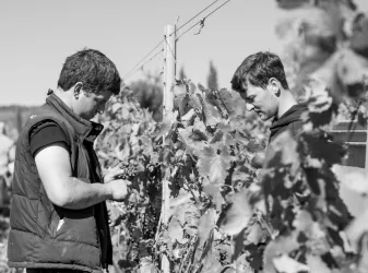 Weingut in der Urlaubsregion Freinsheim (© Weingut Reibold)