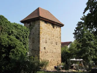Diebesturm Seitenansicht (© Urlaubsregion Freinsheim)