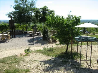 Freinsheim - Weinbergsgarten Picknickplatz (© Reibold)