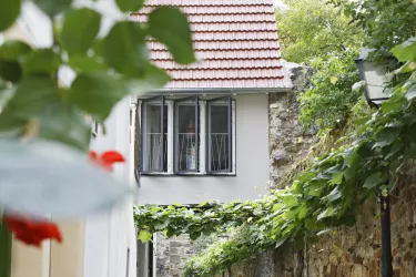 Überbau Stadtmauerrundgang Tagelöhner 2