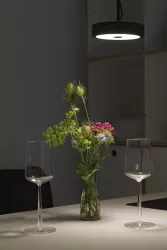 Zum Wohl