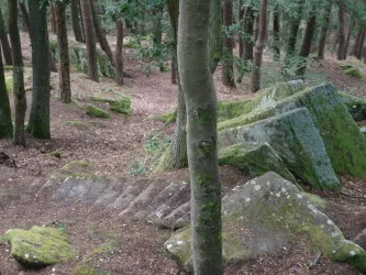 Heidefels V (© Jörg Dörr)