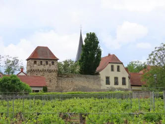 Gottfried-Weber-Haus Bild 5 (© Urlaubsregion Freinsheim)