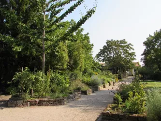 Apothekergarten Bild 3 (© Urlaubsregion Freinsheim)