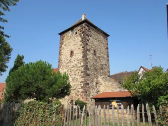 Freinsheim Herzogturm (© Urlaubsregion Freinsheim)