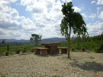 Haardtblick (© Reibold)